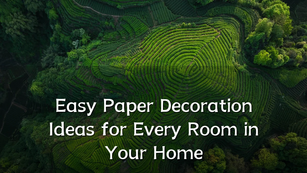 Easy Paper Decoration Ideas for Every Room in Your Home