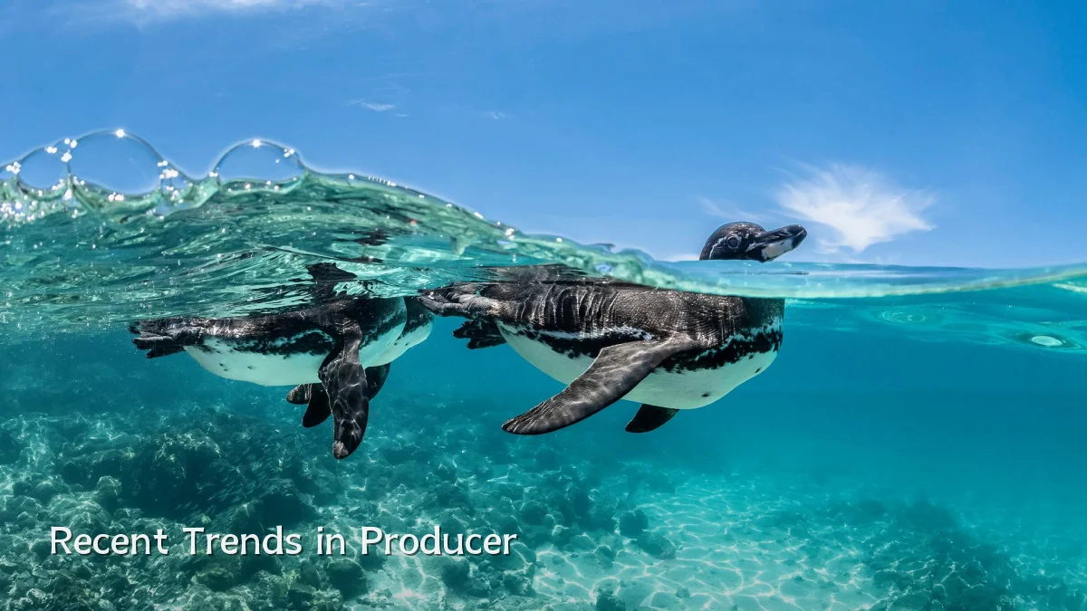 Recent Trends in Producer