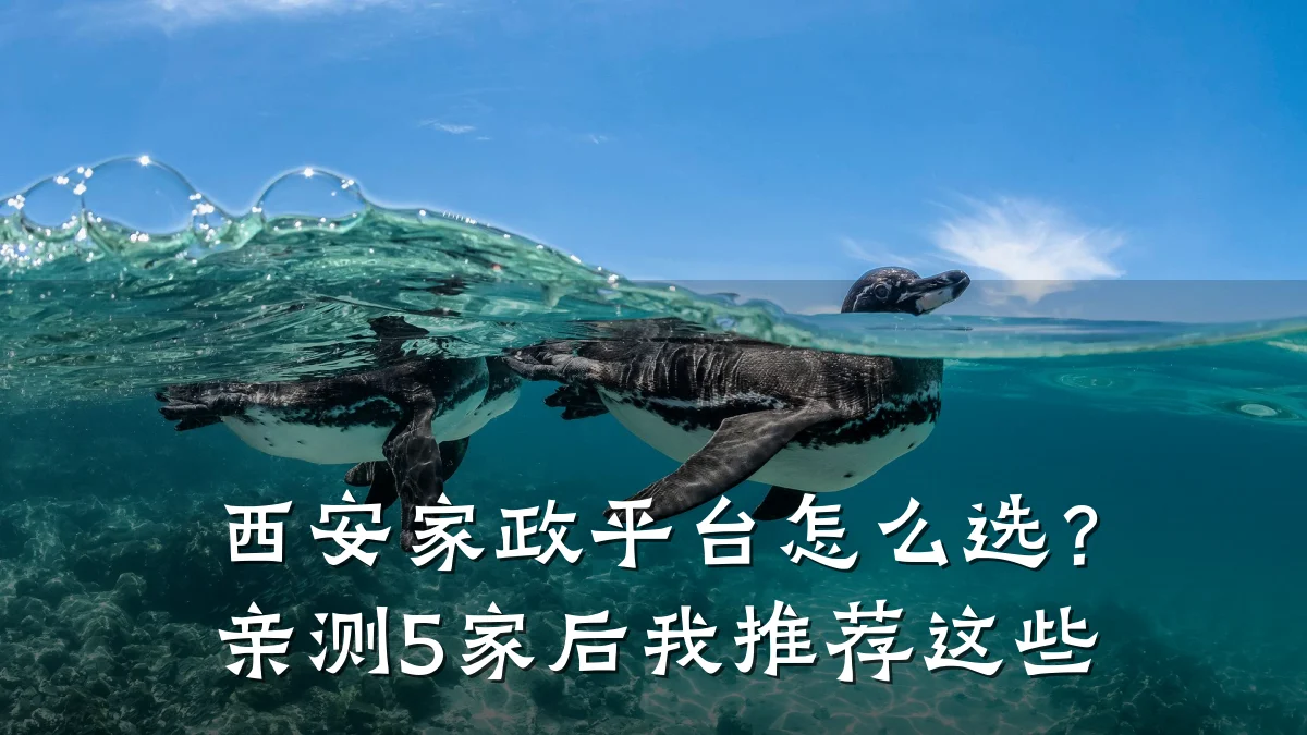 西安家政平台怎么选?亲测5家后我推荐这些