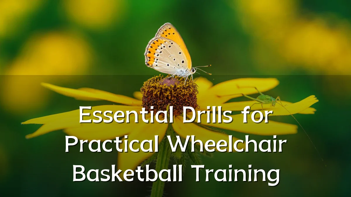 Essential Drills for Practical Wheelchair Basketball Training