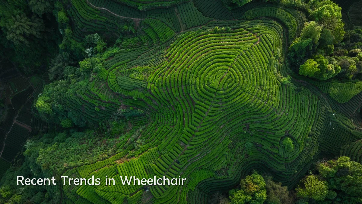 Recent Trends in Wheelchair