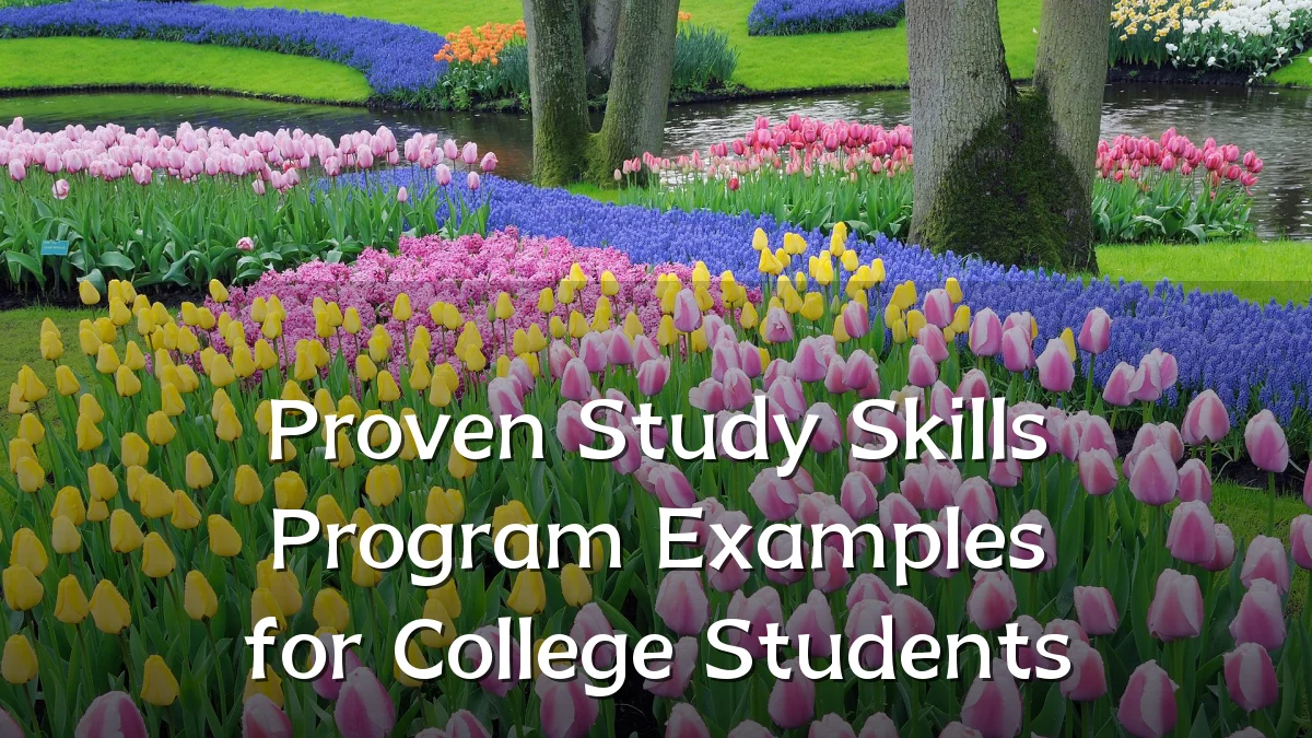 Proven Study Skills Program Examples for College Students