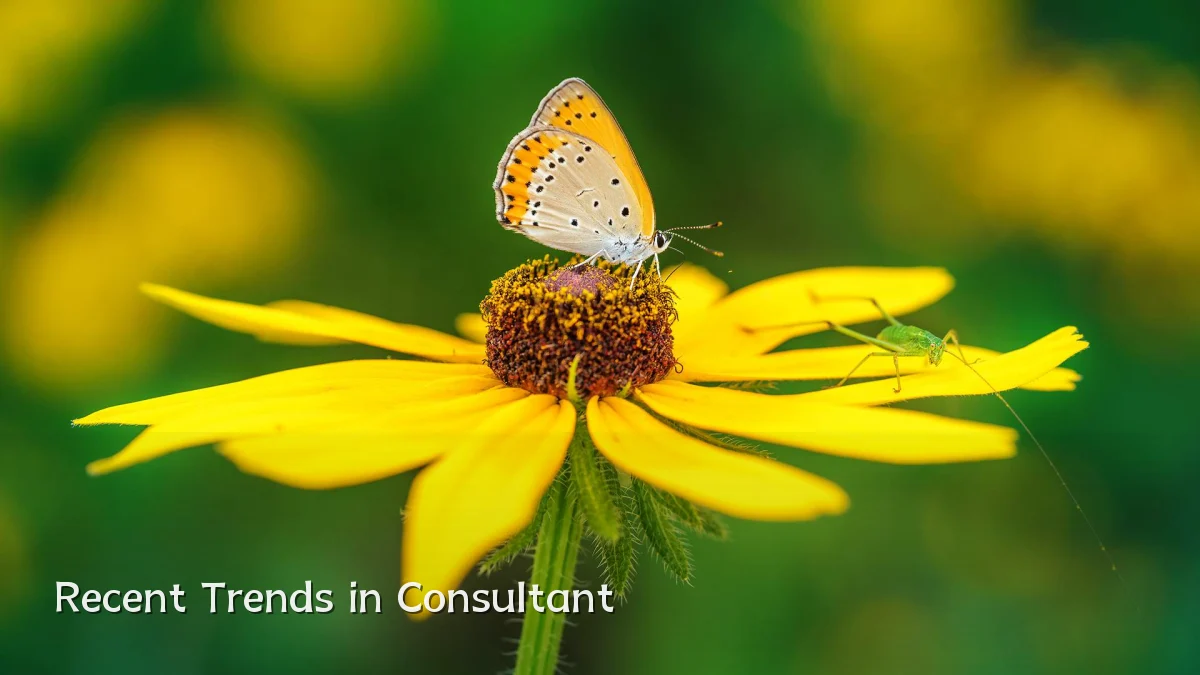 Recent Trends in Consultant
